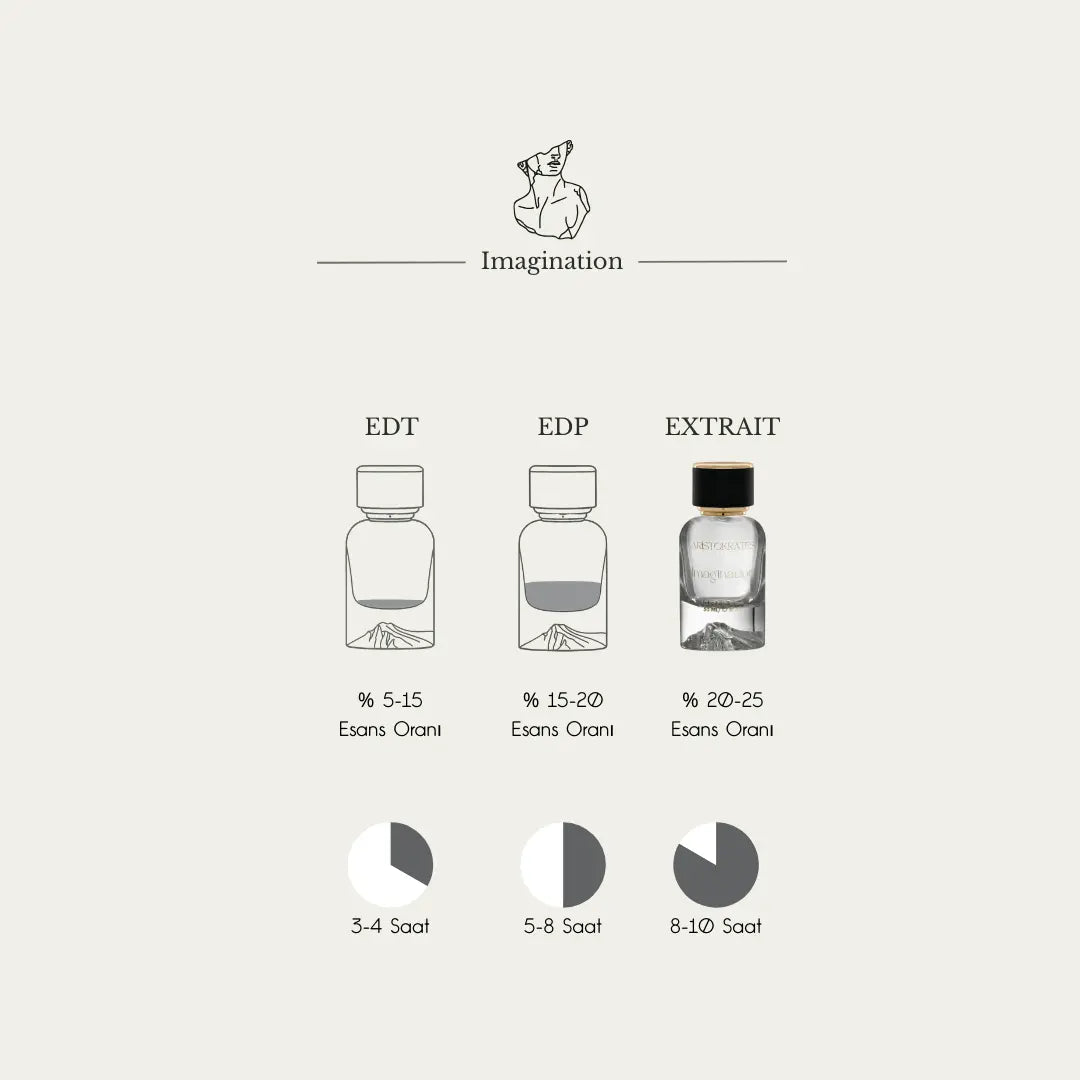 Imagination Aristokrates