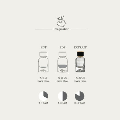 Imagination Aristokrates