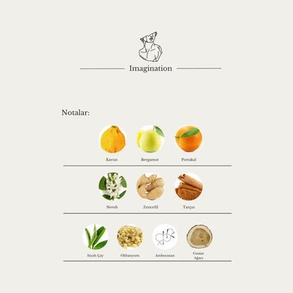 Imagination Aristokrates