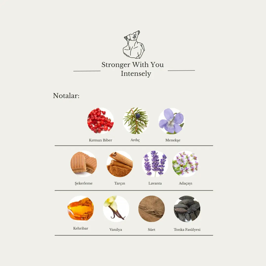 Stronger With You Intensely Aristokrates