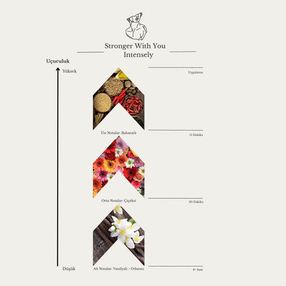 Stronger With You Intensely Aristokrates