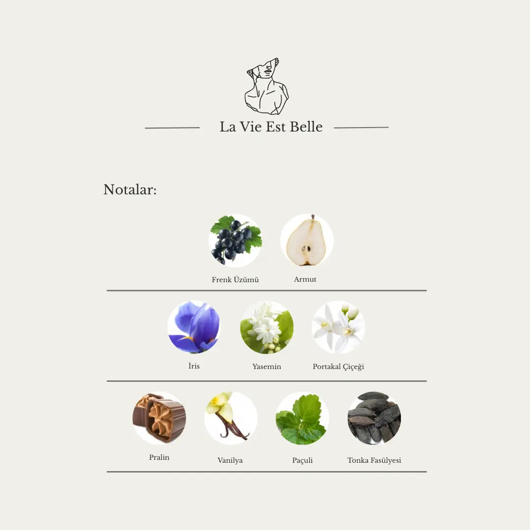 La Vie Est Belle Aristokrates