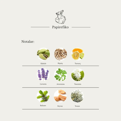 Papirefiko Aristokrates