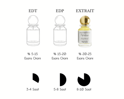 Paradoxe Intense