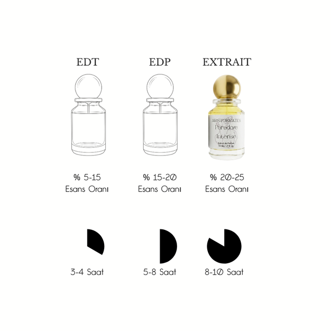 Paradoxe Intense