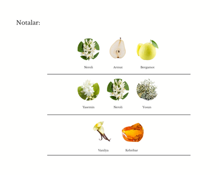 Paradoxe Intense