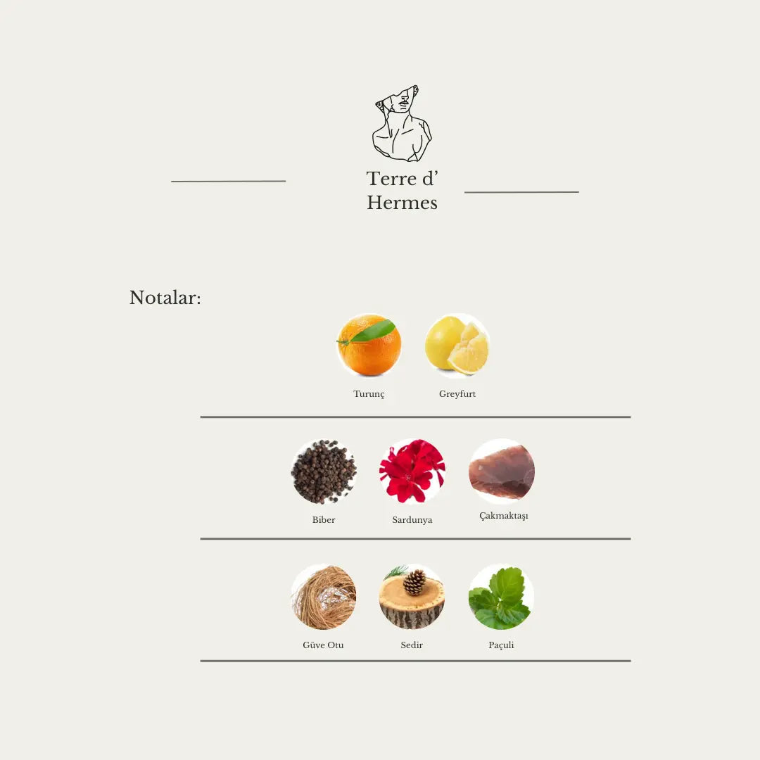 Terre d'Hermès Aristokrates