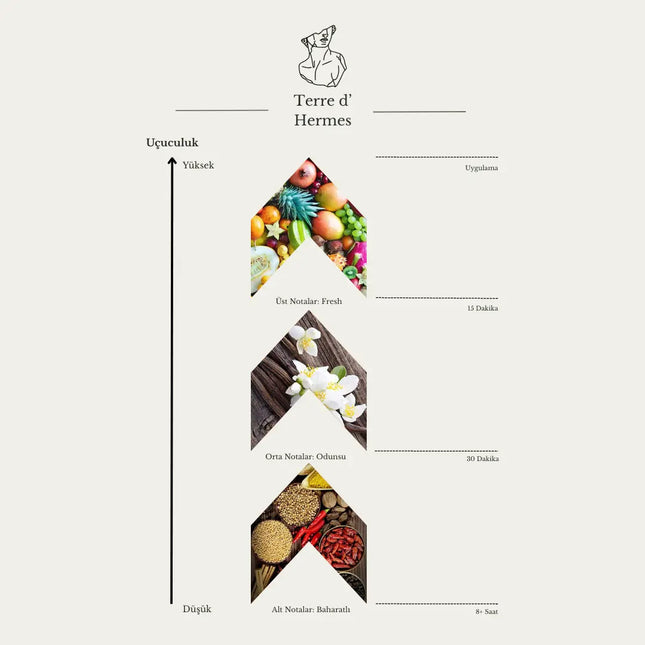 Terre d'Hermès Aristokrates