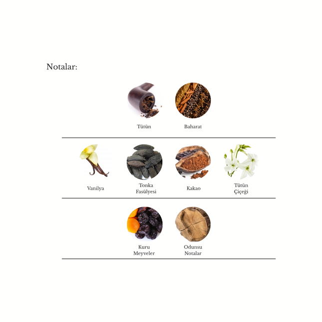 Tobacco Vanille